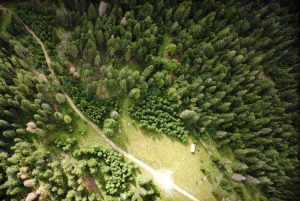 Gestion Du Territoire