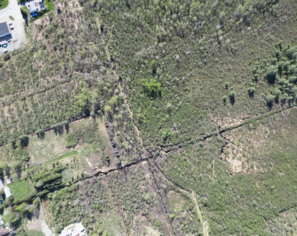 Photo du drone vue d'une plantation résolution 10 cm