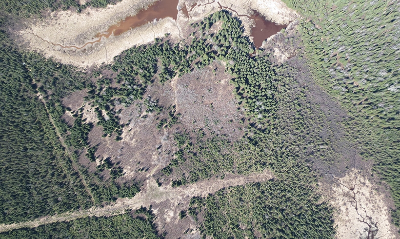 Drone2