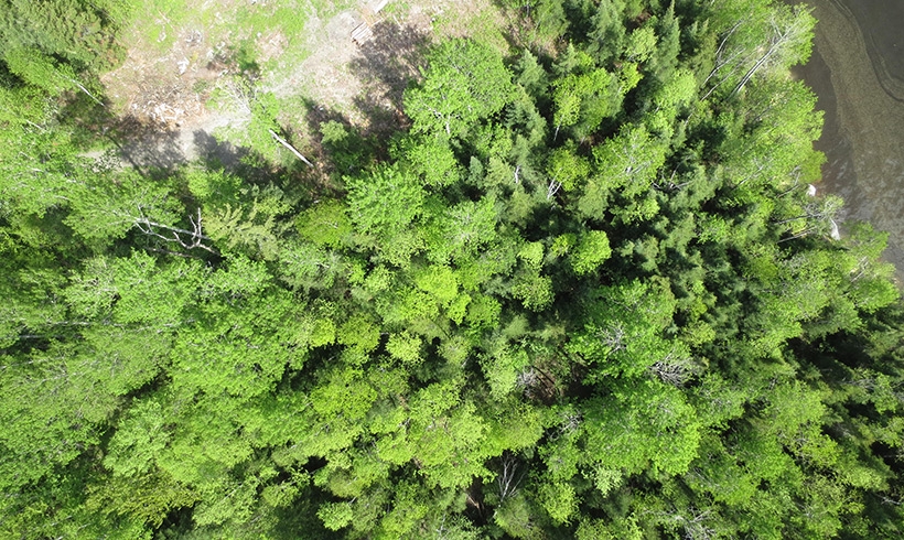 Drone5
